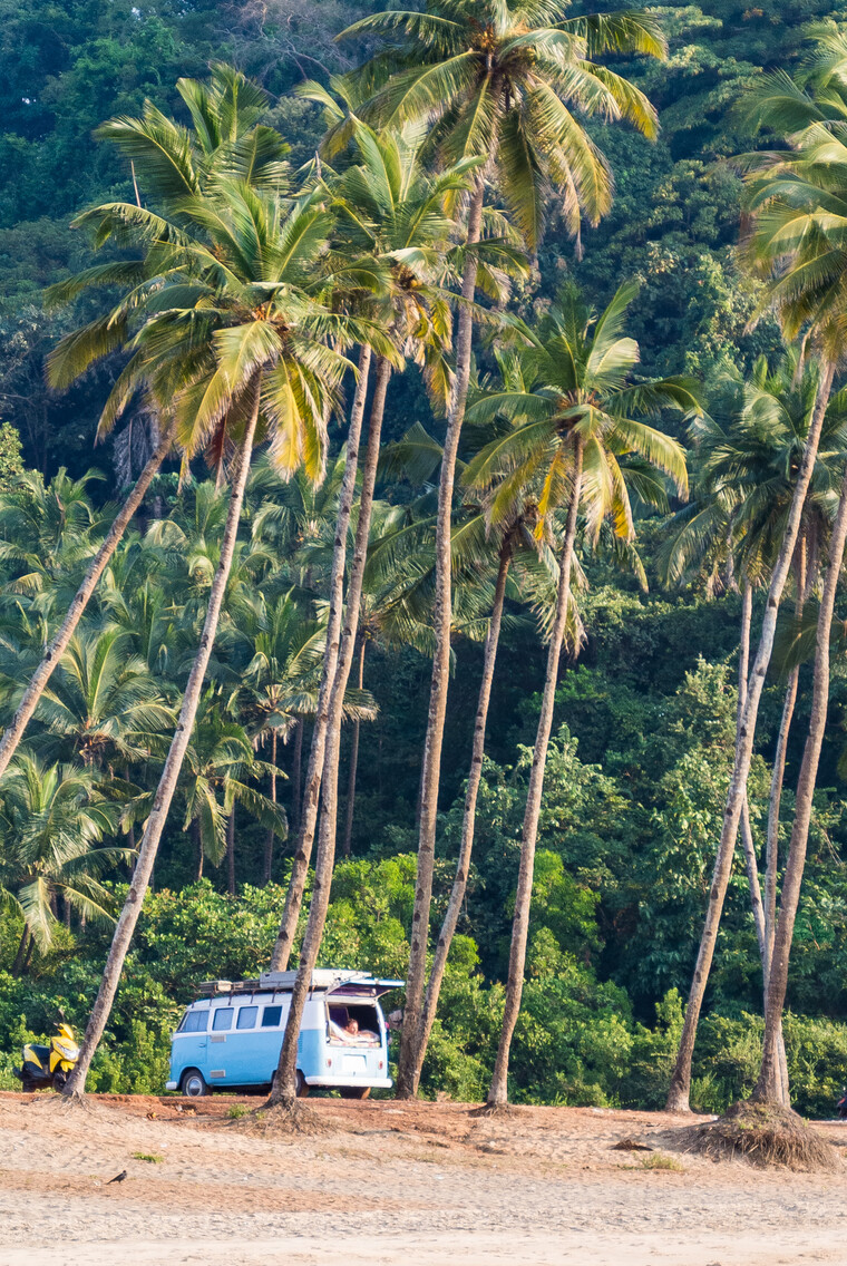 India 2014 - Goa 075.jpg